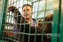 Дрессировщик Алексей Плотников в медвежьем вольере