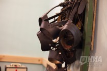 Медвежьи намордники