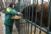 Зубрёнок родился в зоопарке Лимпопо в Нижнем Новгороде