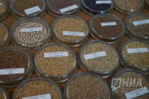 Племзавод Пушкинское