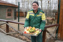 Зоопарк Лимпопо