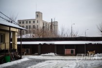 Открытые вольеры