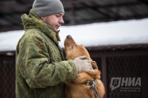 Приют для безнадзорных животных фонда Сострадание