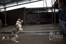 Дрессировщица со своим питомцем, который выполняет некоторые трюки