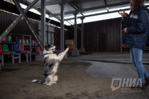 Дрессировщица со своим питомцем, который выполняет некоторые трюки