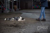 Дрессировщица со своим питомцем, который выполняет некоторые трюки