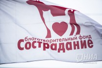 Приют для безнадзорных животных фонда Сострадание