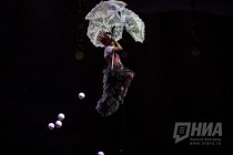 Новогоднее шоу Джамбо