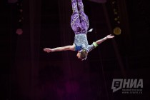 Новогоднее шоу Джамбо