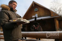 Звериная масленица в нижегородском зоопарке