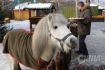 Звериная масленица в нижегородском зоопарке