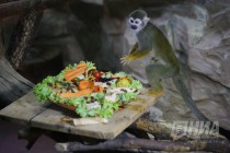 Звериная Масленица в нижегородском зоопарке