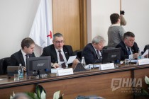 Заседание Думы Нижнего Новгорода 21 марта