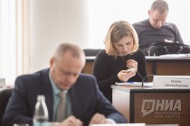 Заседание Думы Нижнего Новгорода 21 марта