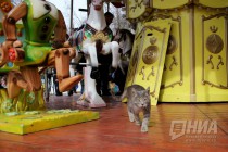 Техническое освидетельствование аттракционов в Автозаводском парке культуры и отдыха в Нижнем Новгороде