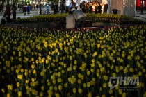 На Театральной площади