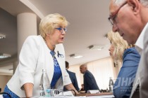 Заседание городской Думы Нижнего Новгорода