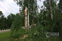 Последствия штормового ветра в Нижегородском кремле