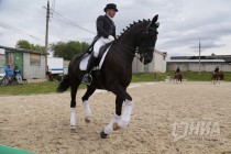 Этап Кубка мира по выездке в Нижнем Новгороде