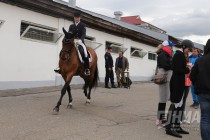 Этап Кубка мира по выездке в Нижнем Новгороде