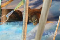Также сегодня журналистам представили пару орангутанов, прибывших из московского зоопарка