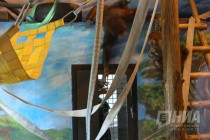 Орангутаны