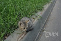 Пер. Плотничный