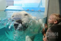 Вольер с белым медведем открылся в нижегородском зоопарке Лимпопо