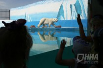 Вольер с белым медведем открылся в нижегородском зоопарке Лимпопо