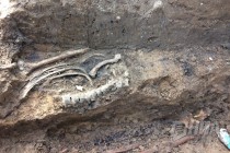 Неизвестный ранее некрополь обнаружен в Нижегородском кремле