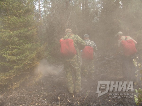 Возникновение природных пожаров ожидается в Нижегородской области 25-26 сентября