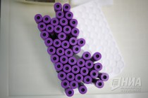 Акция по сдаче крови на типирование проходит в Нижнем Новгороде