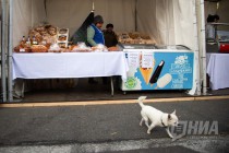 Ярмарка сельхозпроизводителей «Урожай» на пл. Минина и Пожарского в Нижнем Новгороде