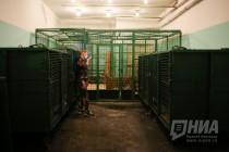 За кулисами шоу Гии Эрадзе Королевский цирк