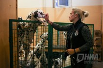 За кулисами шоу Гии Эрадзе Королевский цирк