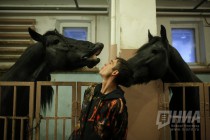 За кулисами шоу Гии Эрадзе Королевский цирк