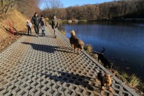 Благоустройство общественных пространств в Нижнем Новгороде в 2018 году