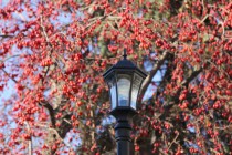 Благоустройство общественных пространств в Нижнем Новгороде в 2018 году