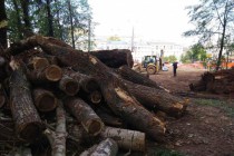 Благоустройство общественных пространств в Нижнем Новгороде в 2018 году