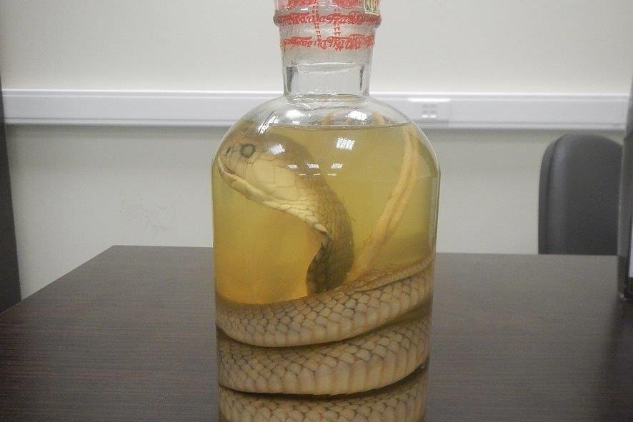 Заспиртованная кобра, изъятая у туриста