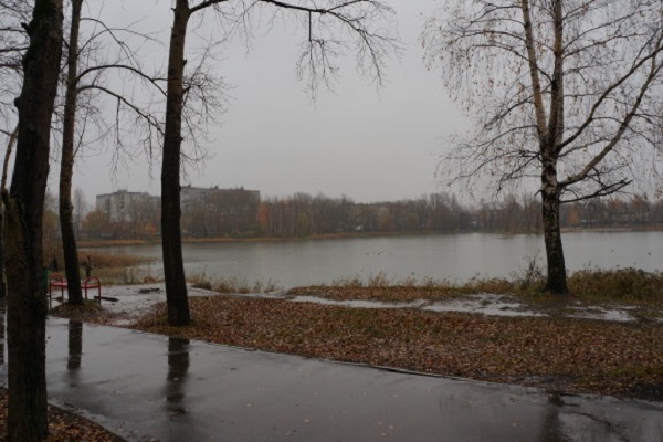 Обсуждение будущего благоустройства нижегородского Светлоярского парка пройдет 17 января