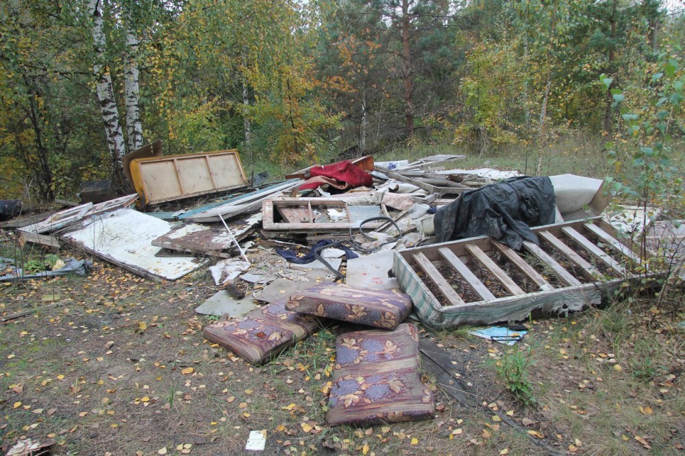Лесные свалки в Дзержинске будут отслеживать ежедневно