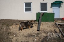 Работы по ликвидации трех объектов накопленного экологического ущерба выполнены на 70%