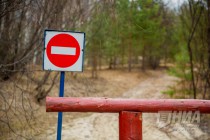 Пресс-тур по Керженскому заповеднику Нижегородской области