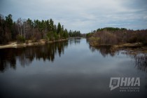 Пресс-тур по Керженскому заповеднику Нижегородской области