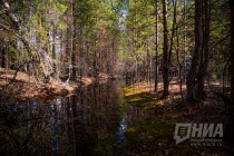 Пресс-тур по Керженскому заповеднику Нижегородской области