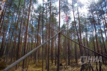 Пресс-тур по Керженскому заповеднику Нижегородской области