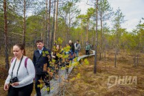 Пресс-тур по Керженскому заповеднику Нижегородской области