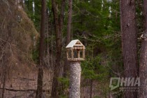 Пресс-тур по Керженскому заповеднику Нижегородской области