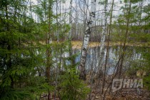 Пресс-тур по Керженскому заповеднику Нижегородской области